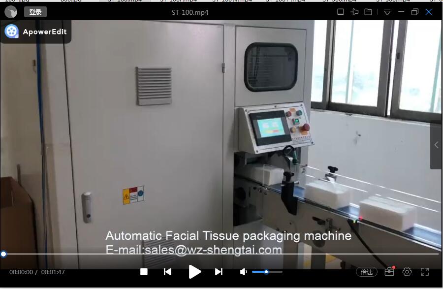 ST-100 Automatic Facial Tissue Duplex Box Packing Machine